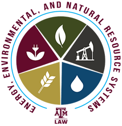 TAMU EENRSLP logo